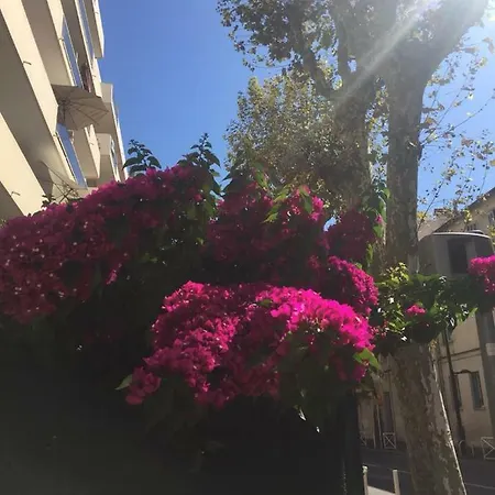 アパート Jardins Du Pont Du Lys